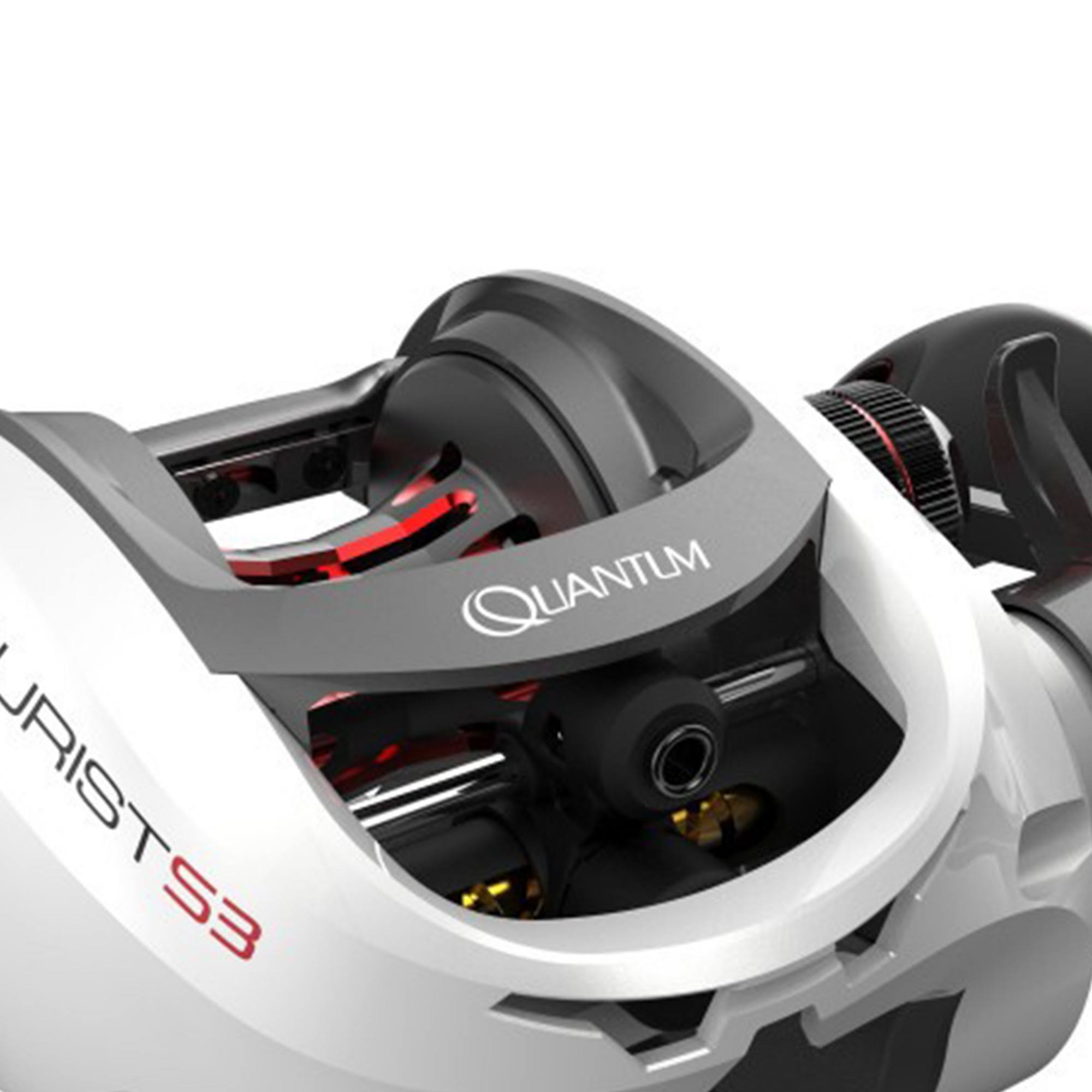 Quantum Accurist S3 PT Baitcast Reel