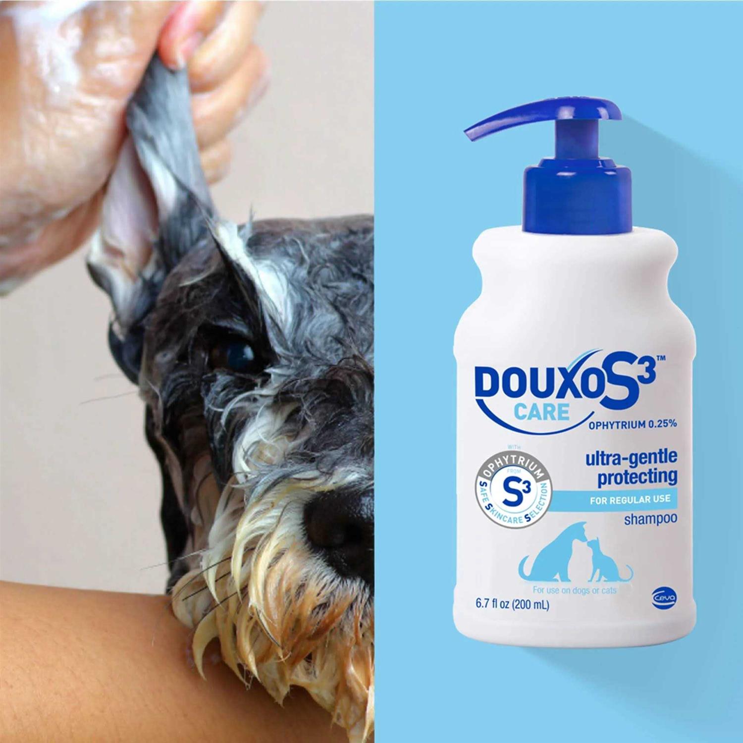 Douxo S3 Care Shampoo 200ml - Pet Supplies online store