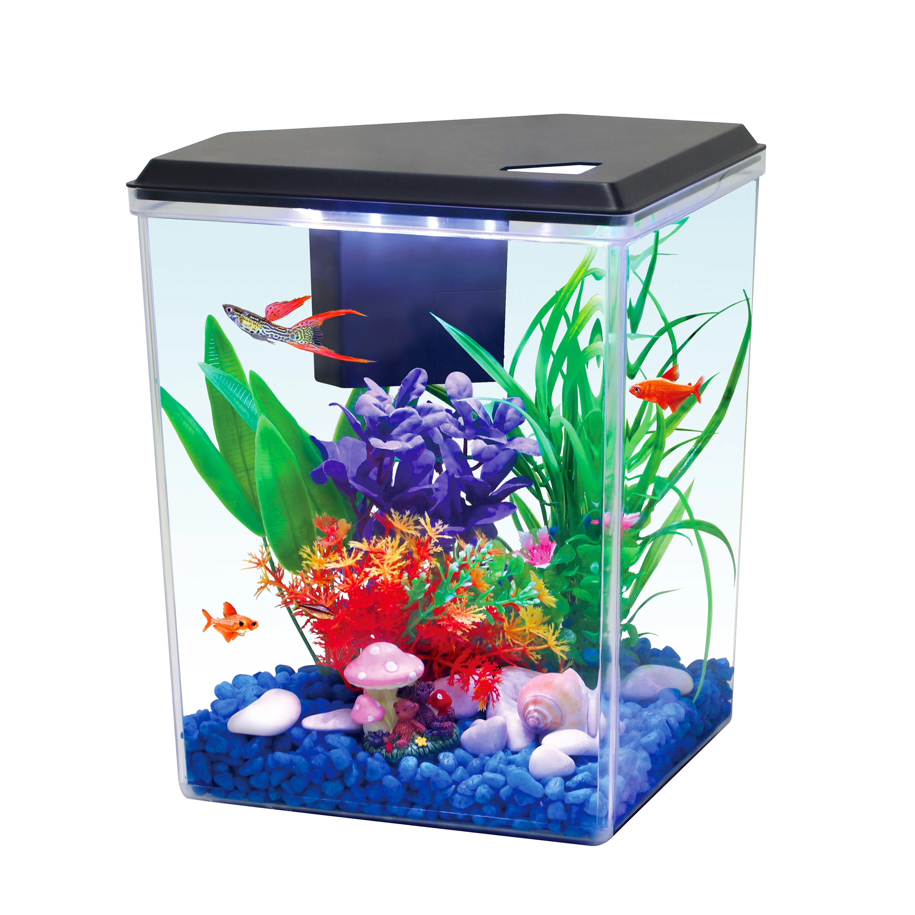 Aqua Culture Plastic 2.5 Gallon Aquarium with Accessories, Black, 12.23''L x 9.16