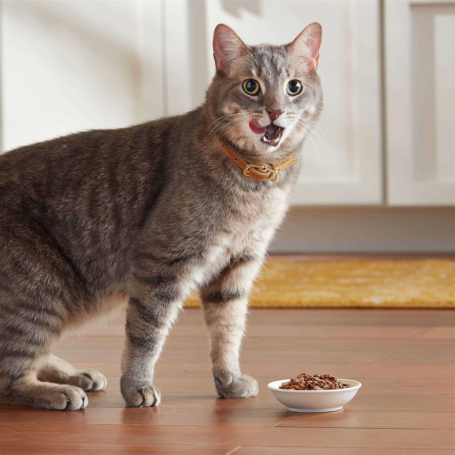 Meow Mix Tender Favorites Wet Cat Food - Pet Supplies online store