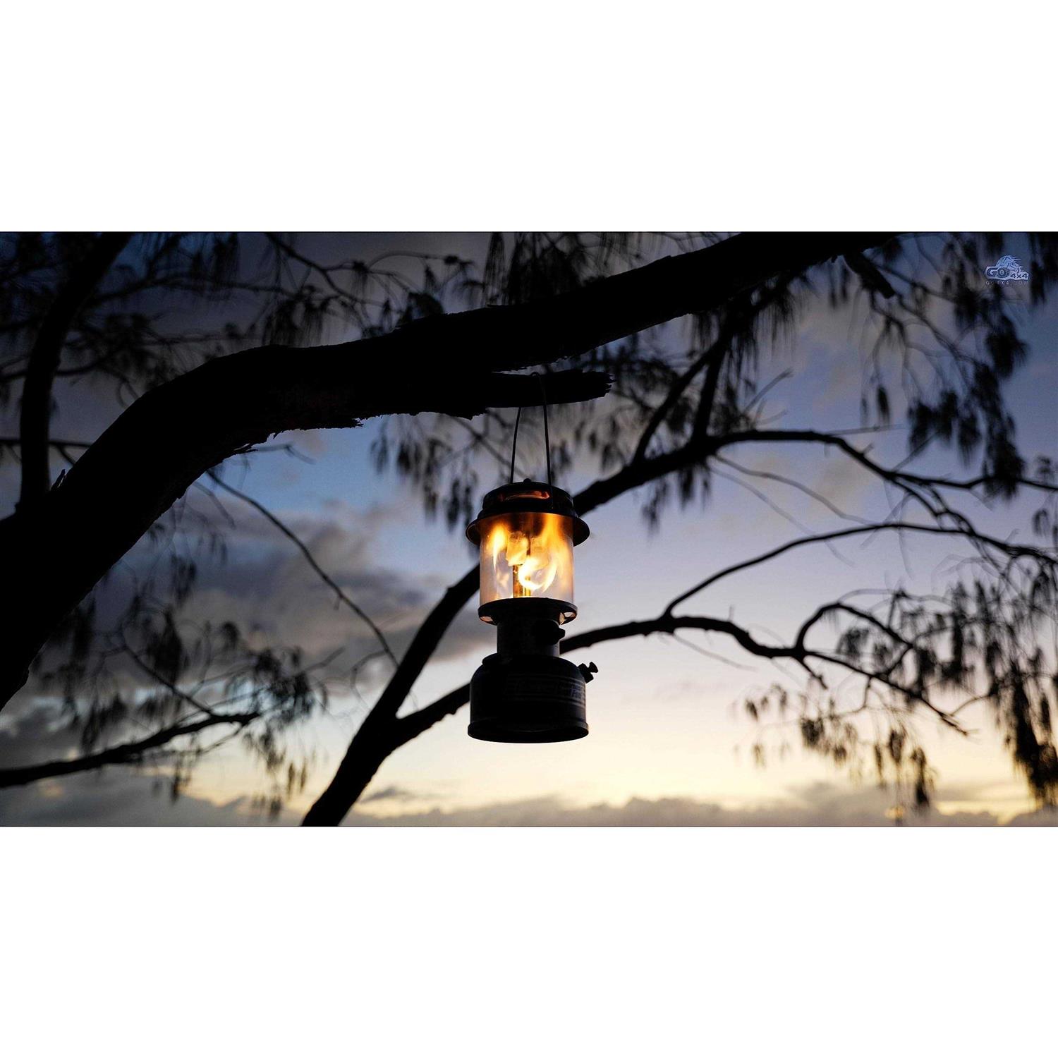 Coleman Dual Fuel Lantern - Sports Supplies Online Store