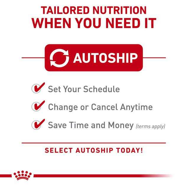 Royal Canin Veterinary Diet Canine Renal Support Early Consult Dry Dog Food - Pet Supplies online store