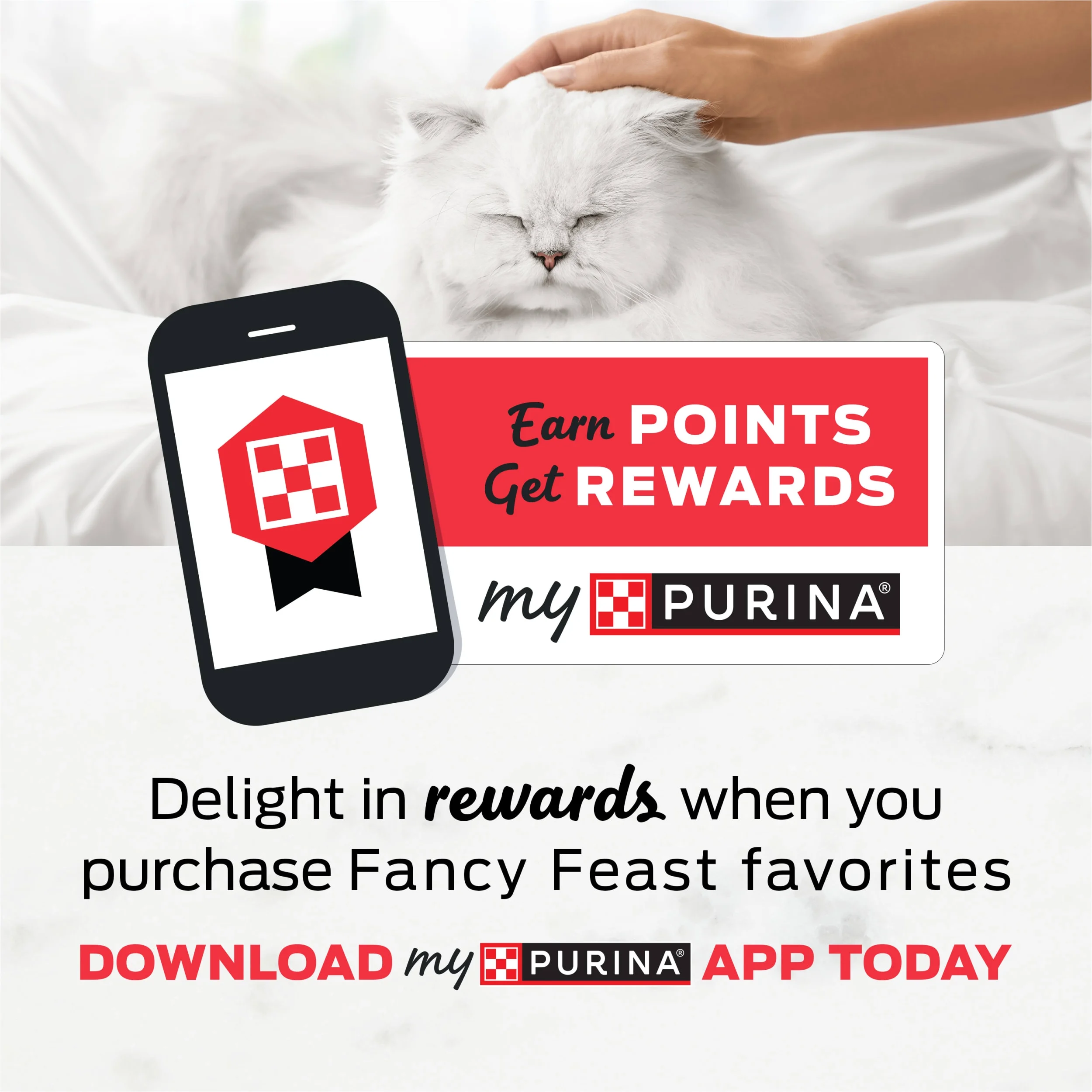 Purina Fancy Feast Dry Cat Food with Ocean Fish and Salmon