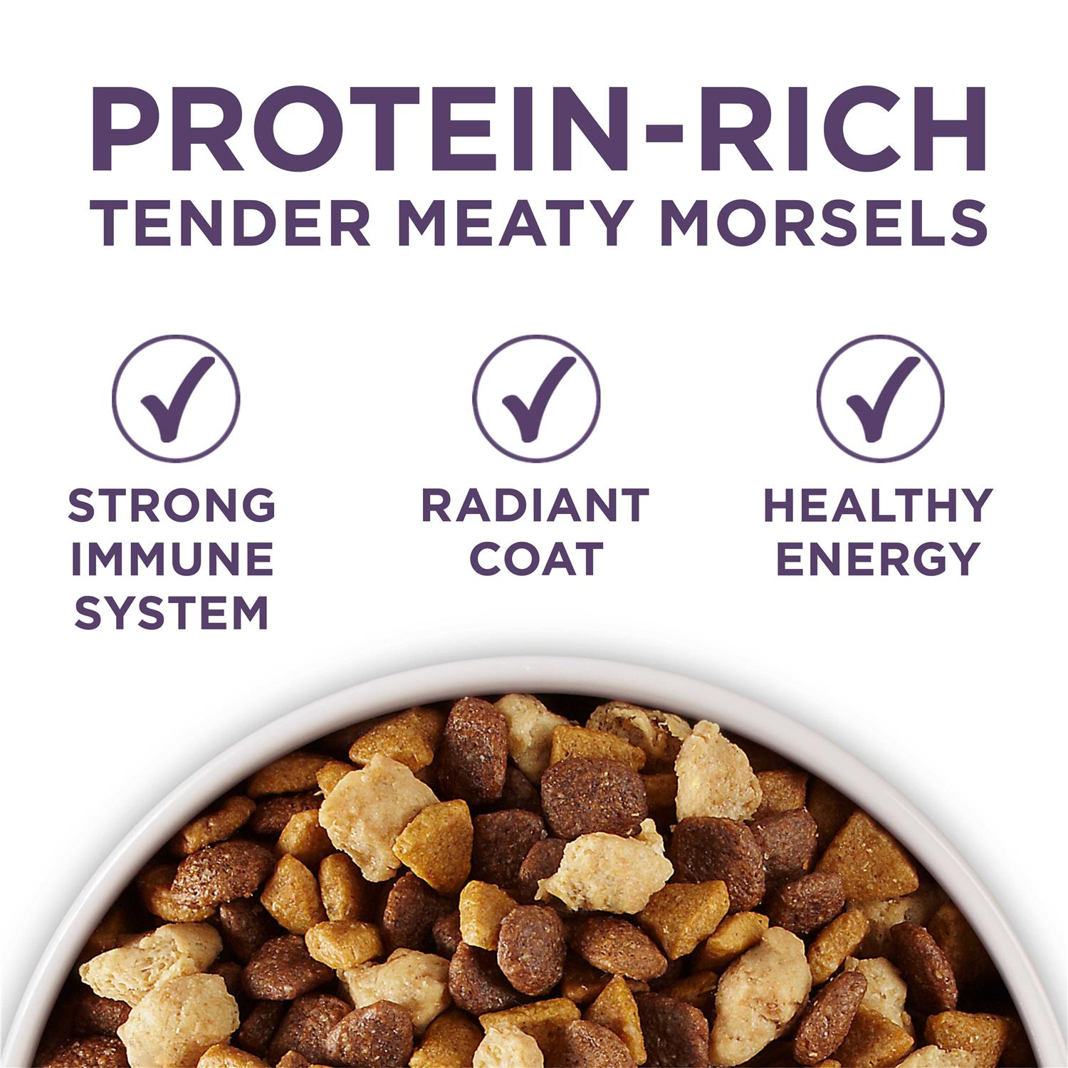 Purina ONE Plus Vibrant Maturity Adult Dry Dog Food Senior - Pet Supplies online store