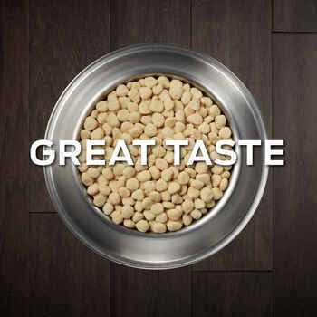 Purina Veterinary Diets HA Hydrolyzed Canine - Pet Supplies online store