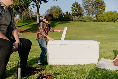 Igloo Quick and Cool Cooler (150-Quart, White)