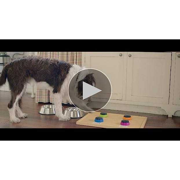 Rachael Ray Nutrish Real Beef Pea & Brown Rice Dry Dog Food - Pet Supplies online store