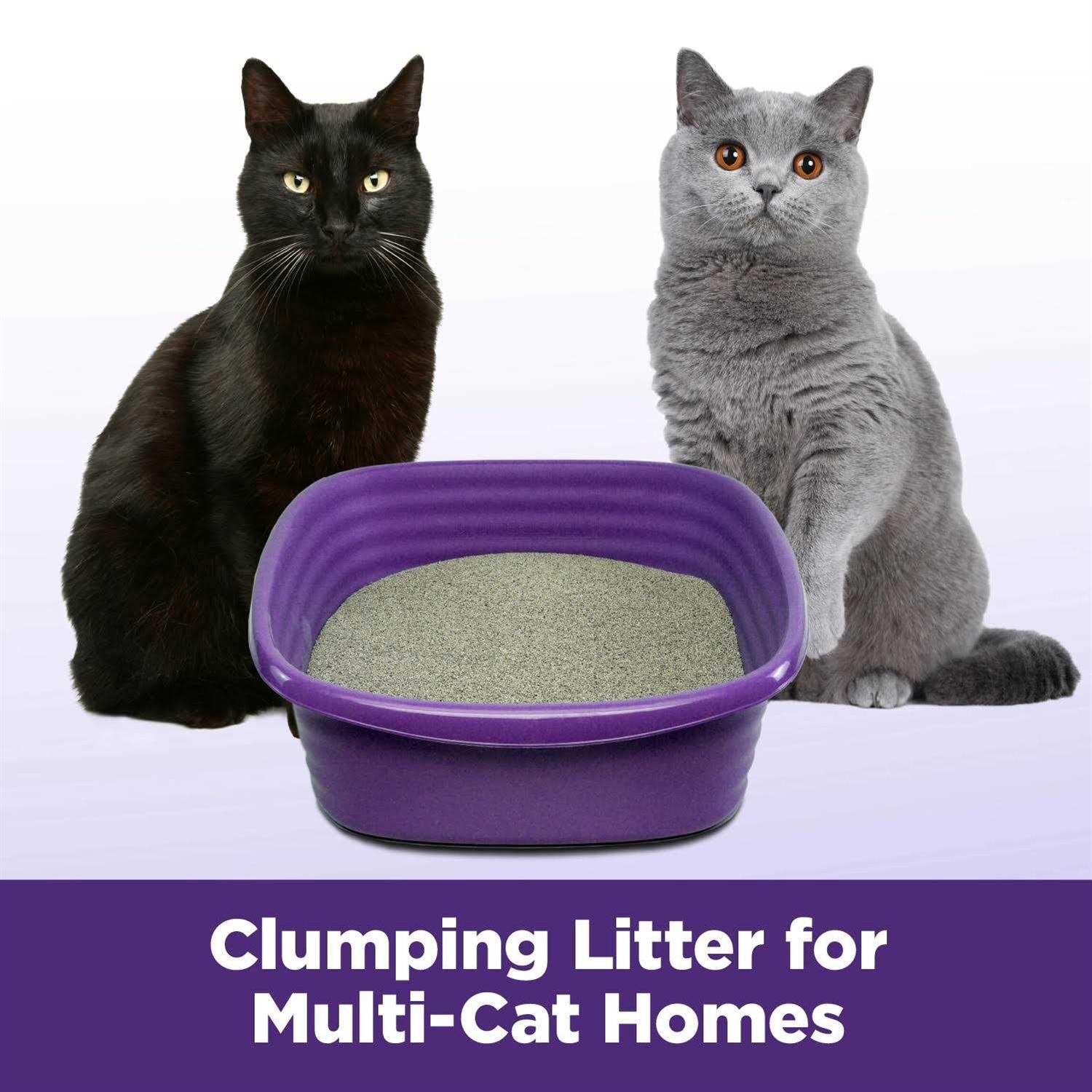 Arm & Hammer Slide Easy Clean Up Multi-Cat Clumping Litter - Pet Supplies online store