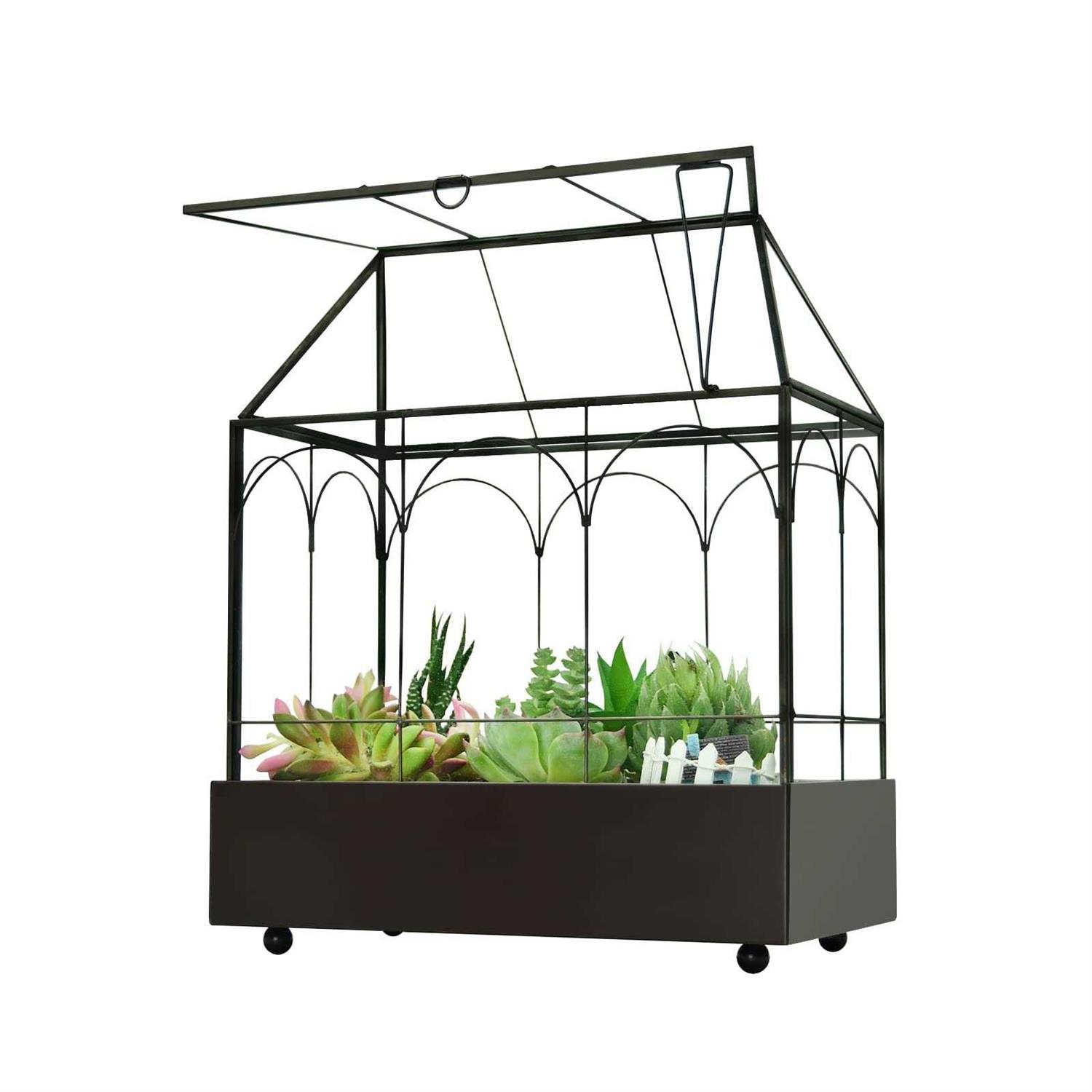 YIMORENcE V Large Tall glass Plant Terrarium – House Succulent Terrarium Kit with Lip and Tray - Pet Supplies online store