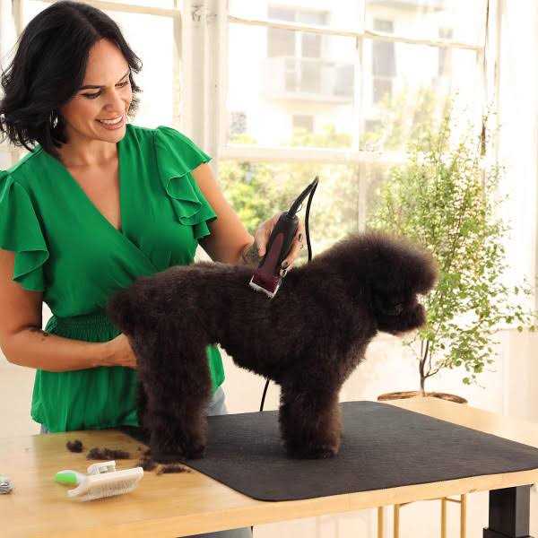 Andis Excel 5-Speed Detachable Blade Clipper Blue - Pet Supplies online store