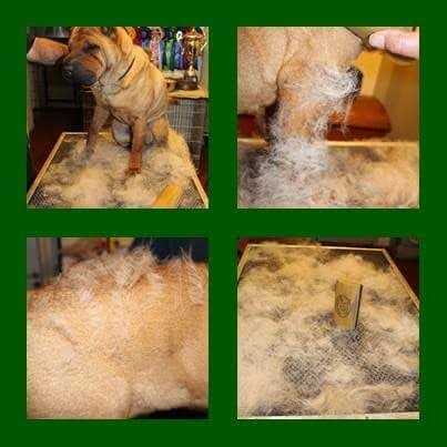 SleekEZ Grooming Tool - Pet Supplies online store