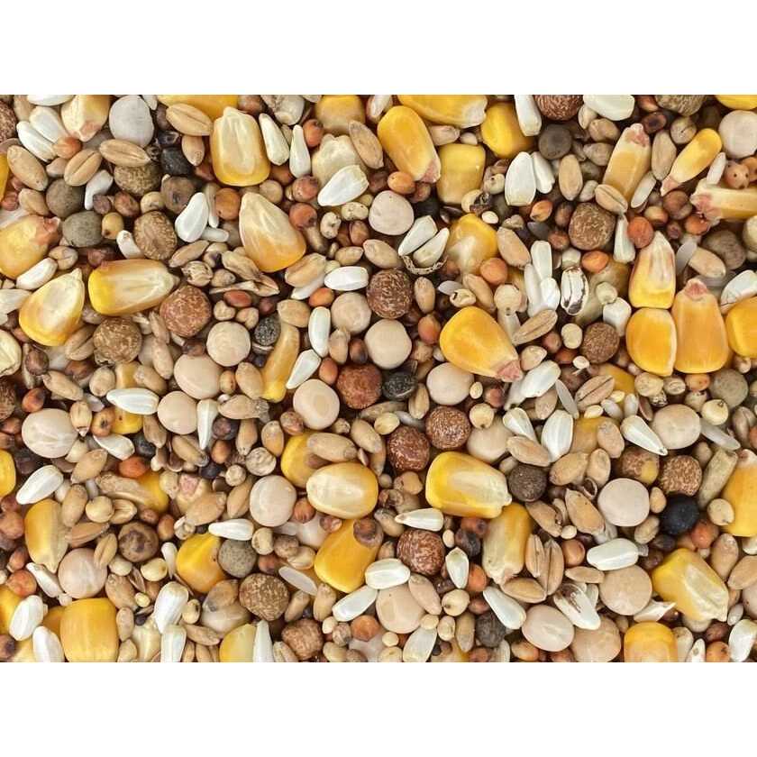 Versele-Laga Classic Racing Pigeon Foods Blends 50lbs - Pet Supplies online store