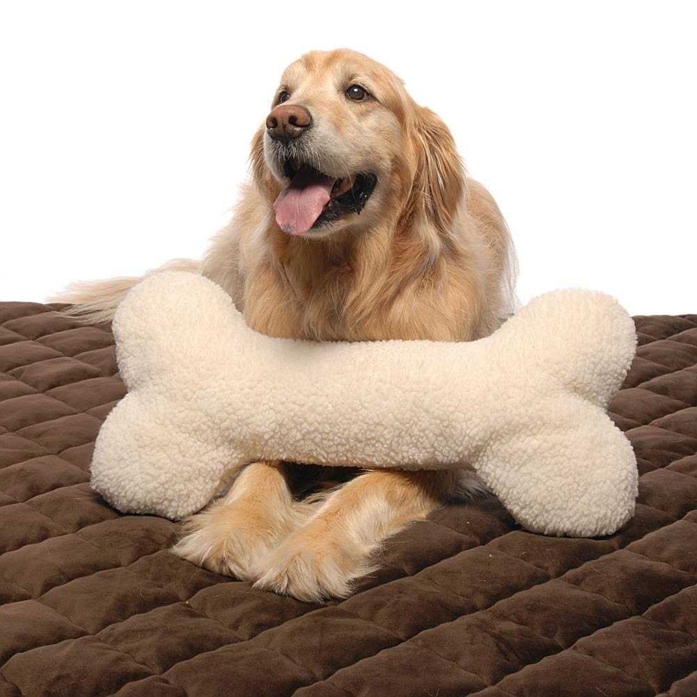 Carolina Pet Bone Pillow Toy - Pet Supplies online store