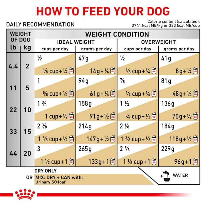 Royal Canin Veterinary Diet Canine Urinary So Dry Dog Food - Pet Supplies online store