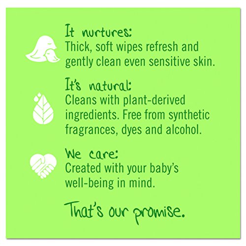 Seventh Generation 34208CT Free & Clear Baby Wipes, Unscented, White, 64 Wipes Per Pack (Case of 12 Packs)