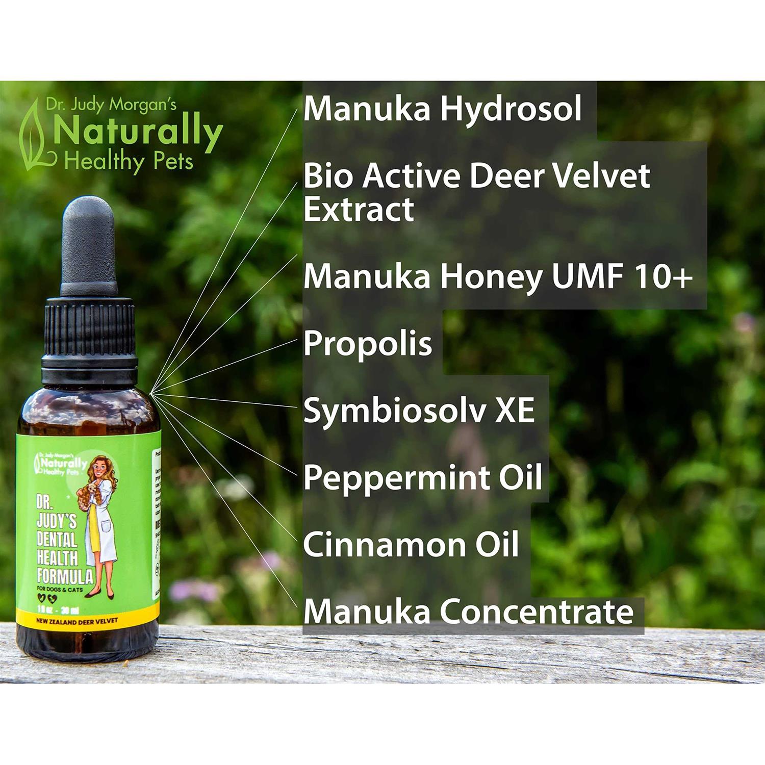 Dr. Judy Morgan's Dental Health Formula for Dogs & Cats - Pet Supplies online store