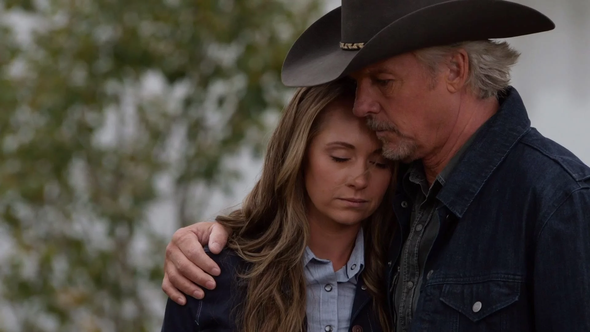 Heartland: The Complete Fourteenth Season [DVD Box Set]