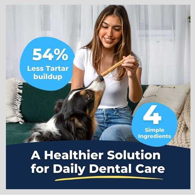 Tartar Shield Soft Rawhide Chews Dogs - Pet Supplies online store