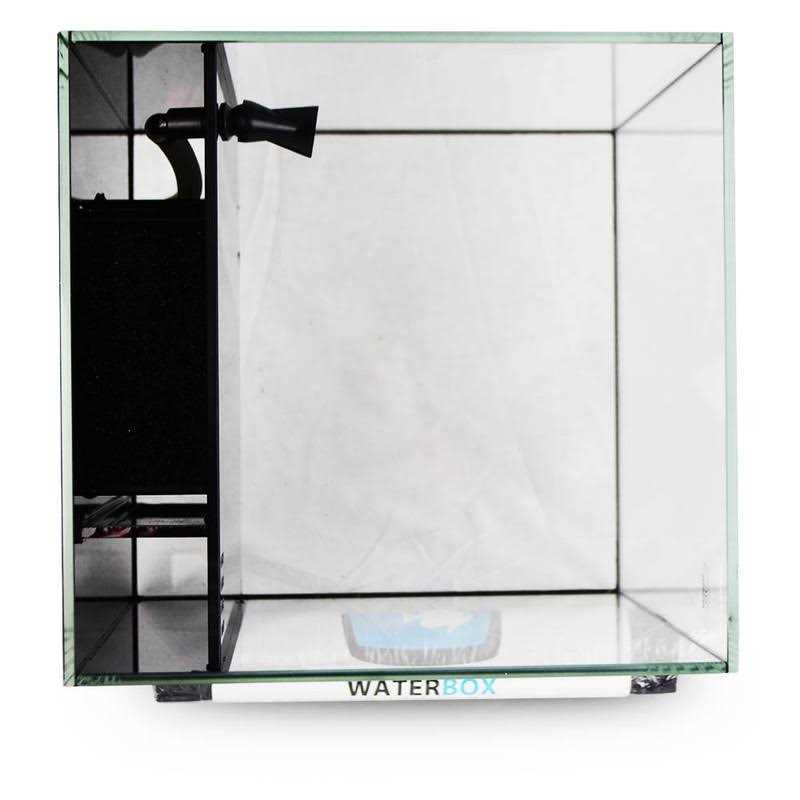 Waterbox AIO 20 Gallon Cube Starphire Glass Aquarium - Pet Supplies online store
