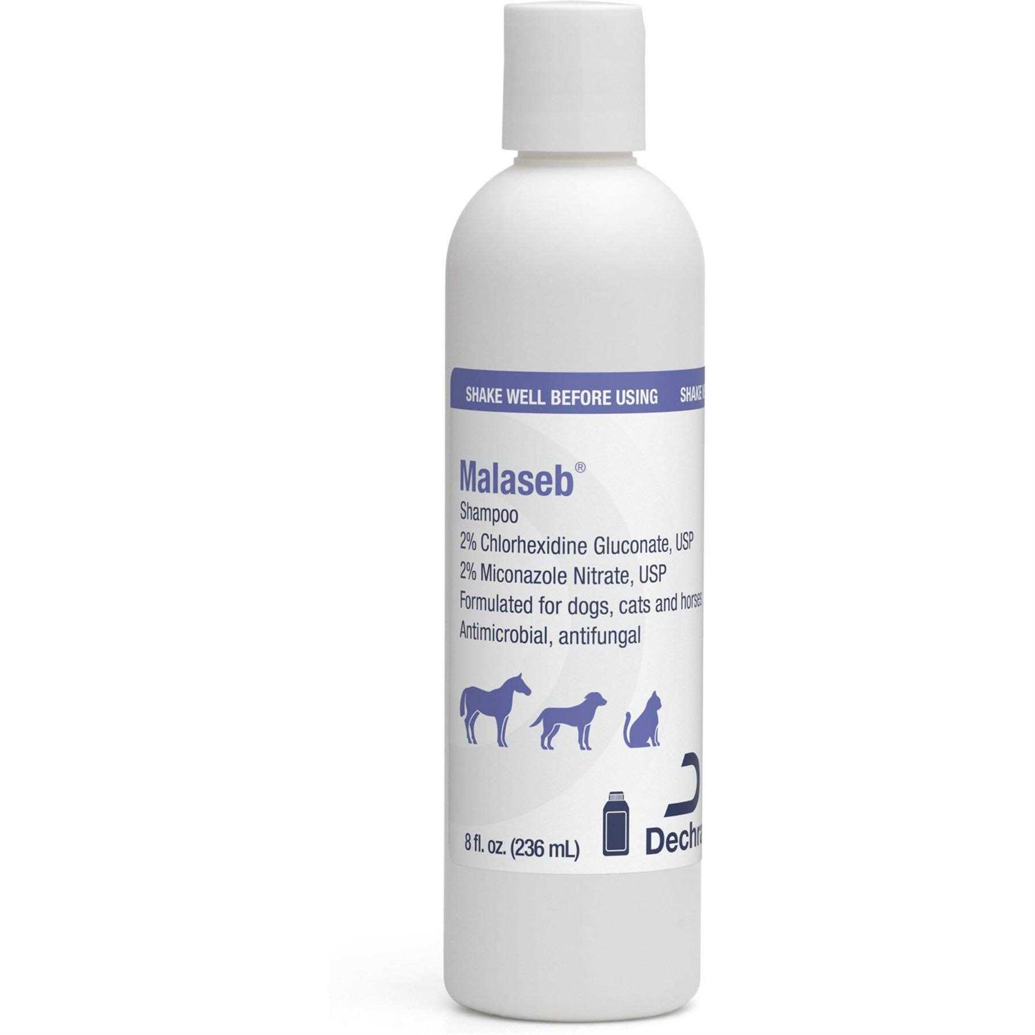 Malaseb Shampoo 8 oz - Pet Supplies online store