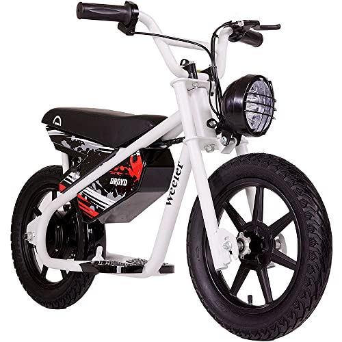 Droyd Weeler Electric Mini Bike for Kids, 200W Motor w 2 Speed Settings (10 Mph & 6 Mph), 24V 8Ah Battery for 8 Miles Range, Rear Disc Brake, and 15