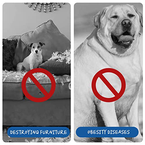 Dog Treadmill for Large/Medium Dogs, Dog Running Machine Exercise Equipment for Large Dogs