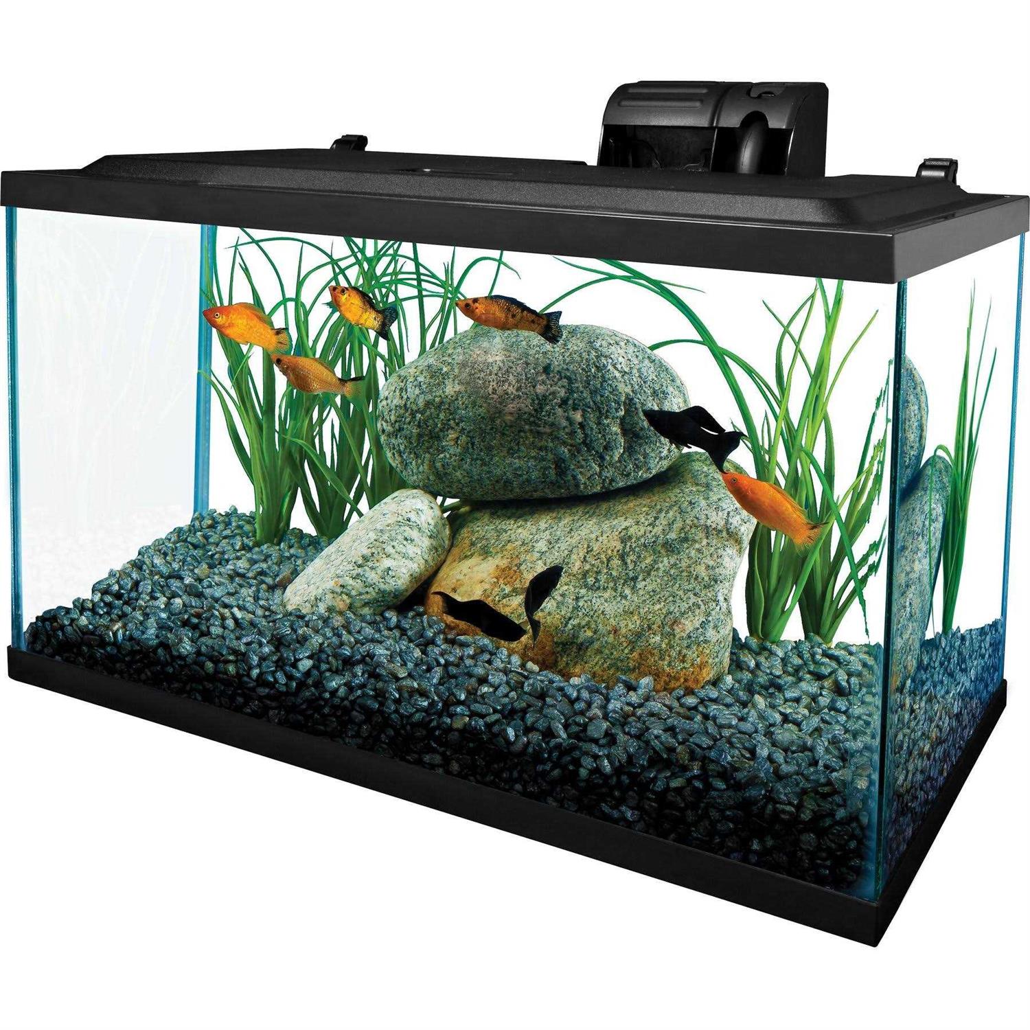 Tetra Glass Aquarium 10 Gallons - Pet Supplies online store