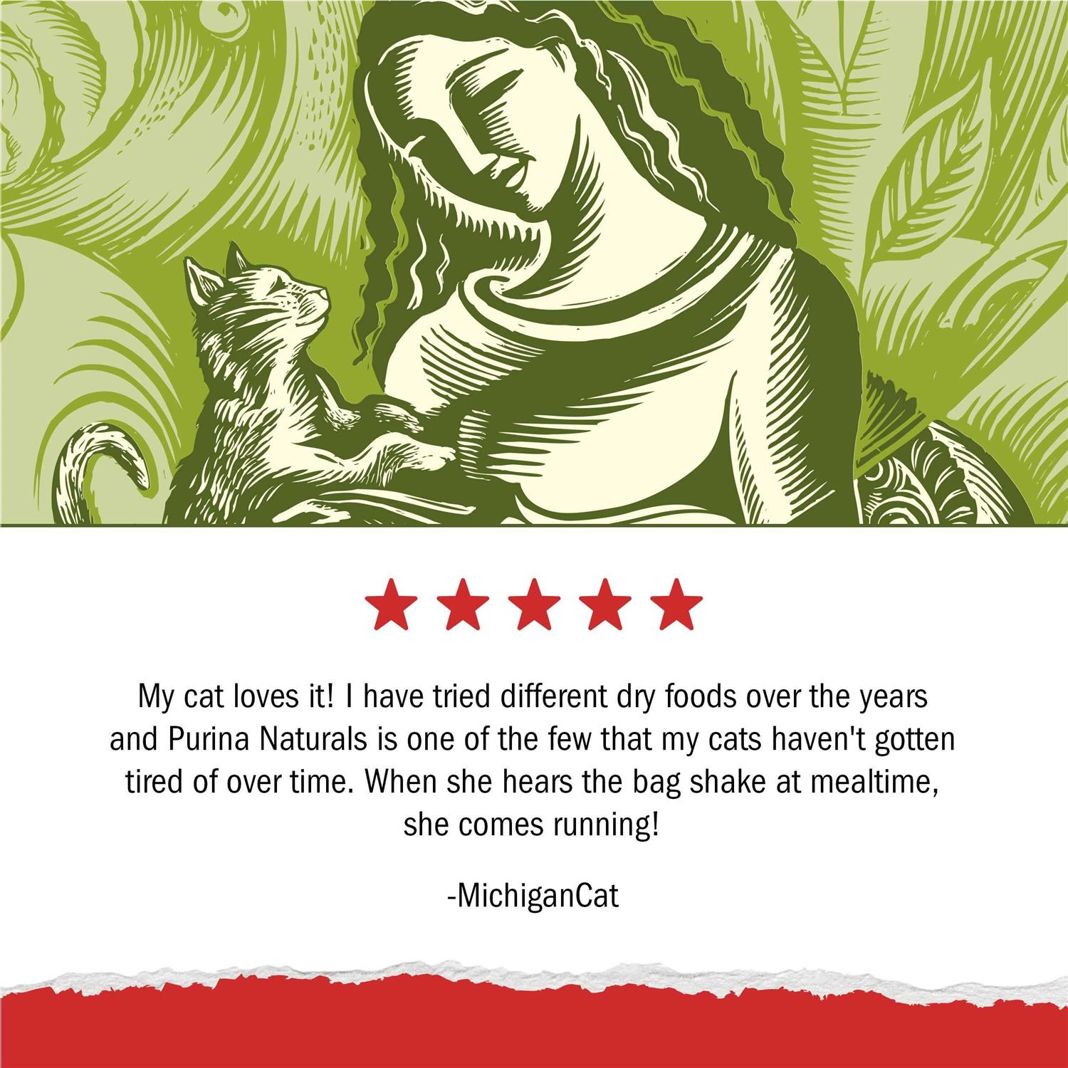 Purina Cat Chow Naturals Original Dry Cat Food - Pet Supplies online store