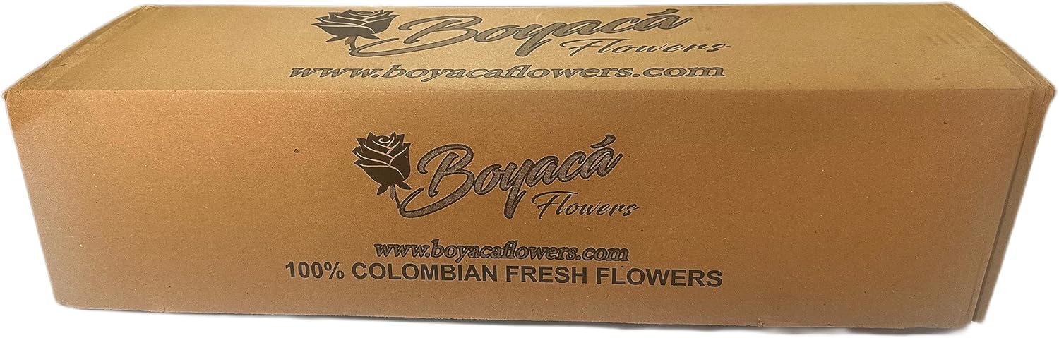 50 fresh roses, long stem 19.7