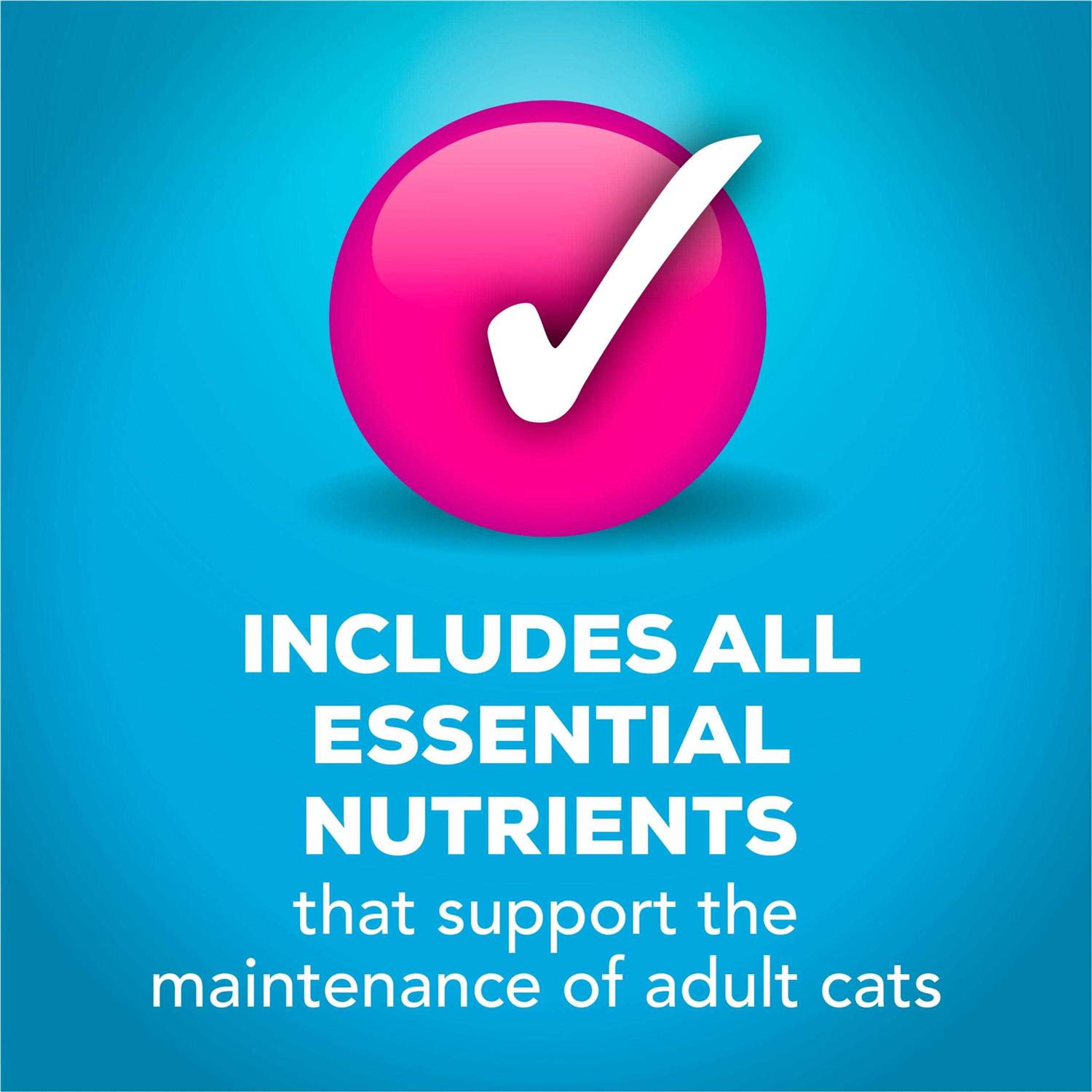 Friskies Tasty Treasures Prime Fillet With Ocean Fish & Tuna & Scallop Flavor Wet Cat Food - Pet Supplies online store