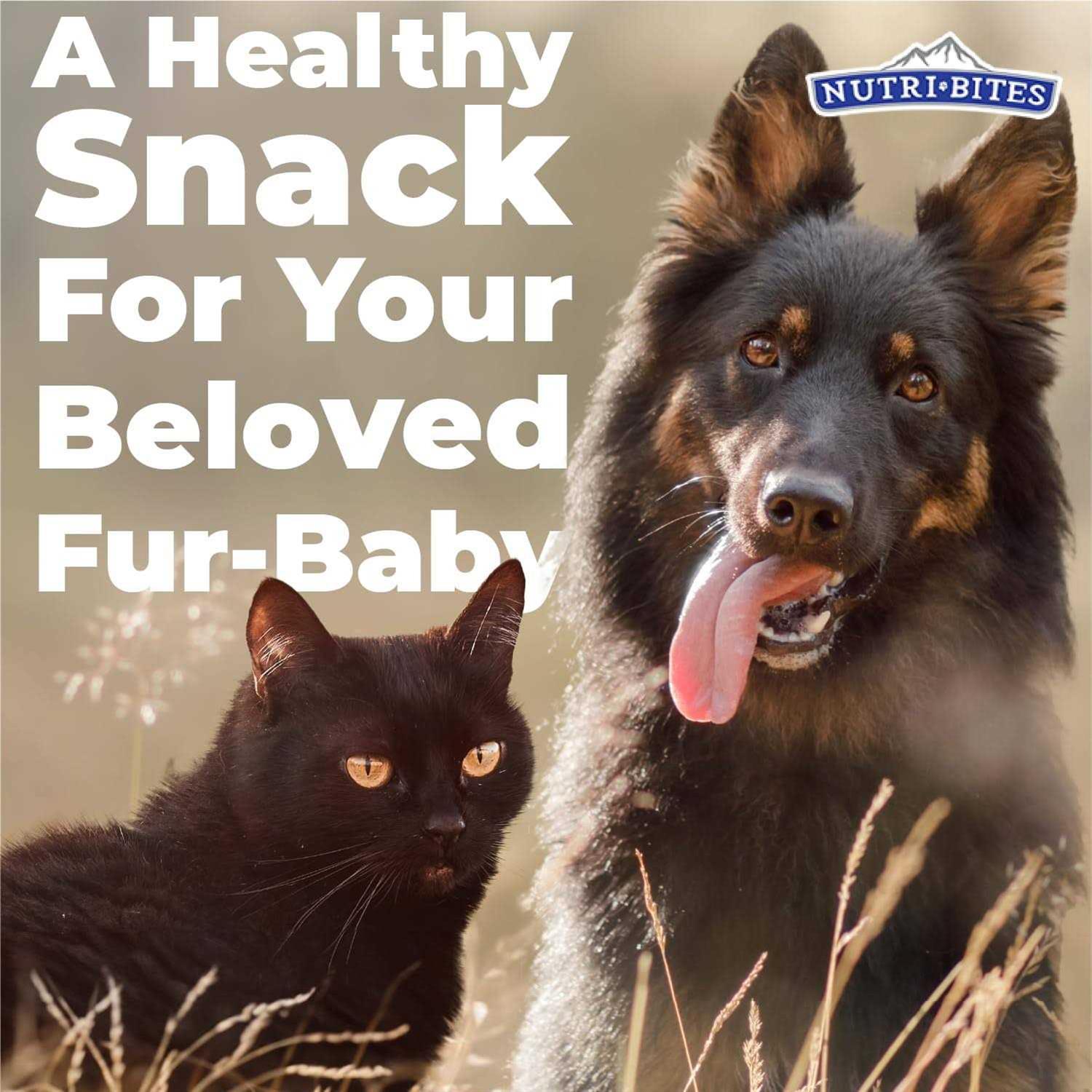 NutriBites Freeze Dried Beef Liver High Protein Dog & Cat Treats - Pet Supplies online store