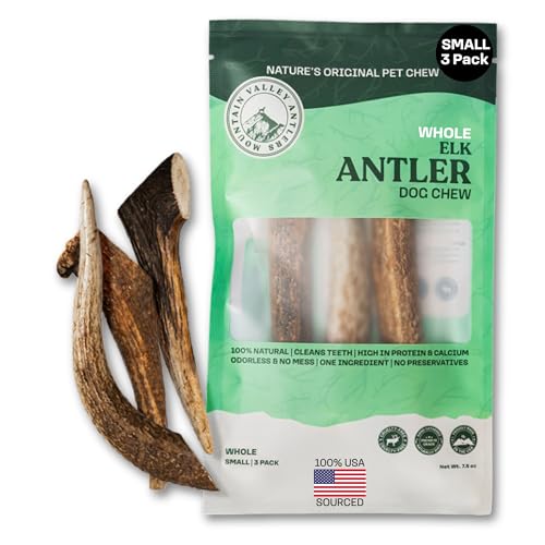 Mountain Valley Elk Antlers for Dogs - 100% Natural & Organic Chew for Aggressive Chewers, No Odor, No Mess, Long Lasting - Wild-Foraged Naturally Shed Antlers in USA - Grade A, Whole Small (3 Pack)