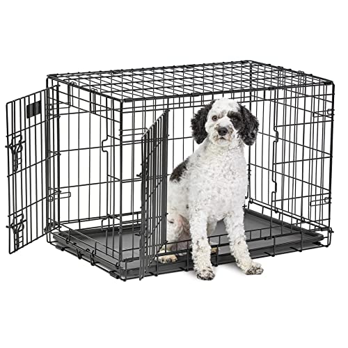 MidWest Homes for Pets Intermediate LifeStages Double Door 36-Inch Folding Dog Crate, Enhanced Security, Includes Leak-Proof Pan, Divider Panel, Handle, Rubber Feet