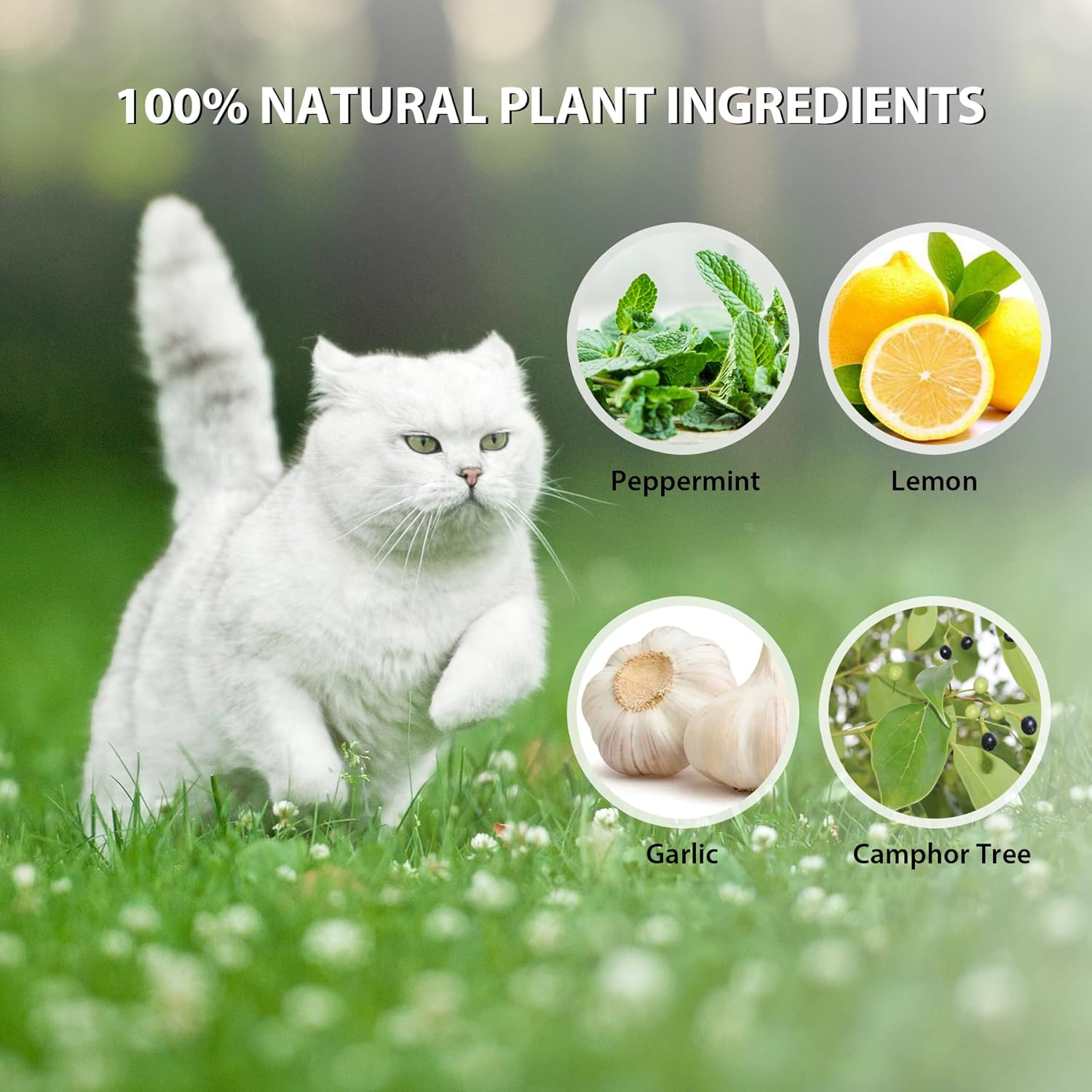 Cat Repellent Outdoor, 20 Pack Peppermint Oil Cat Deterrent Indoor for Home to Protect Furniture Curtain Pet Family Safe, Dog Repellent to Keep Feral Cats Stray Dogs Out of Yard Garden Lawn