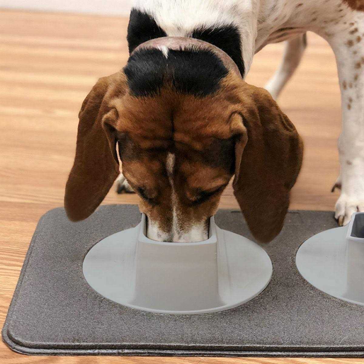 Flipo Ear-Clear Pet Feeding Station - Pet Supplies online store