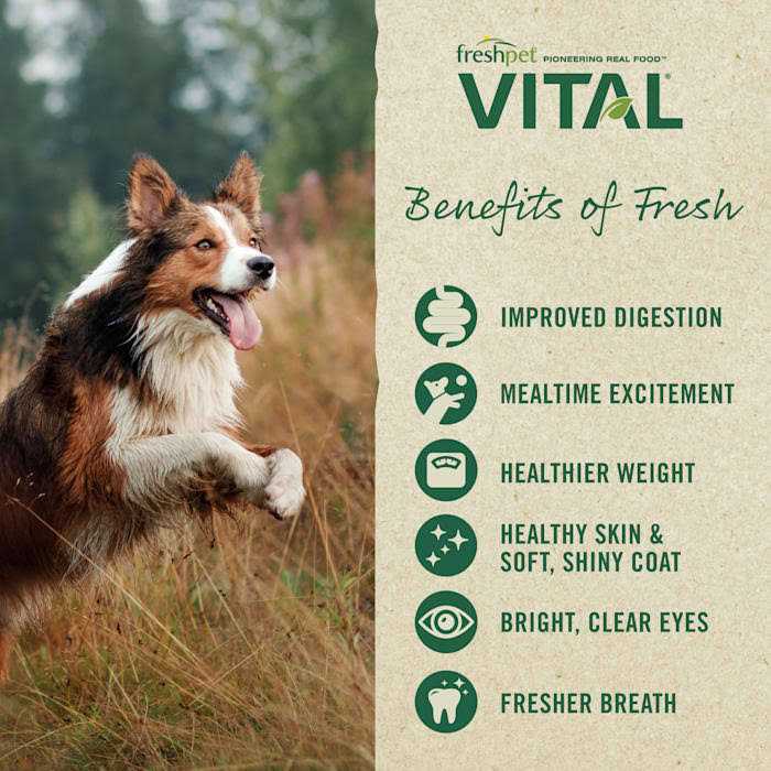 Freshpet Vital Fresh Cuts Dog Food Chicken - Pet Supplies online store