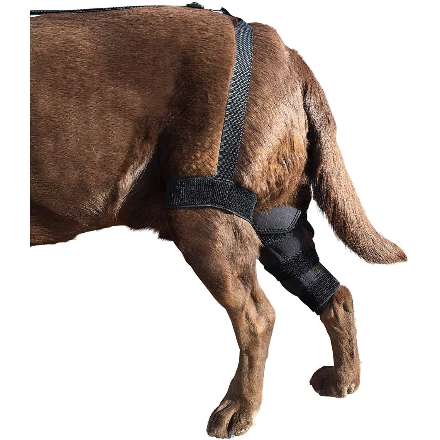 Labra Dog Canine K9 Knee Stifle Brace Wrap Metal Hinged Flexible Support Treat ACL CCL Luxating Patella Cruciate Ligament Sprain Strain Tear Injuries - Pet Supplies online store