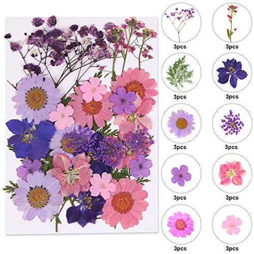 Augshy Black Dried Pressed Flowers, 120 Pcs Natural Dried Flowers for Resin Molds Real Pressed Flowers for Crafts DIY Jewelry Molds, Scrapbooking, Candle, Soap Making, Epoxy Resin Supplies