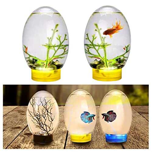 Mini Ecological Fish Tank, Closed Aquatic Ecosphere Desktop Aquarium with Led Base, Home Office Decor, No Need to Change Water (Color : Black) - Pet Supplies online store