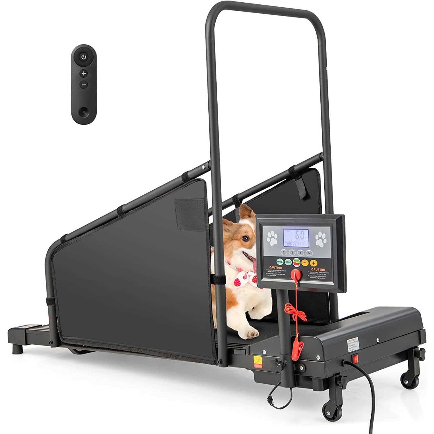 Indoor Pet Exercise Equipment with Remote Control - Pet Supplies online store