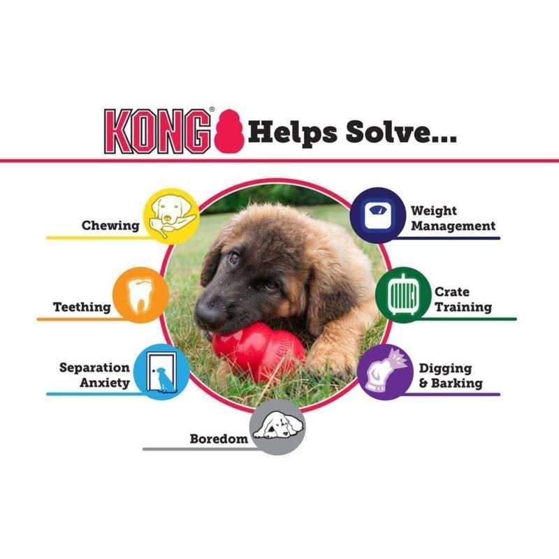 KONG Senior Dog Toy - Pet Supplies online store