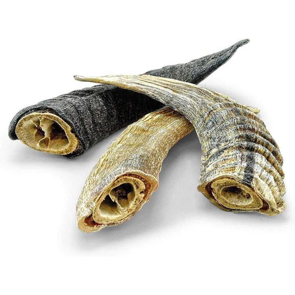 Icelandic+ Small Lamb Horn with Marrow Dog Chew - Pet Supplies online store
