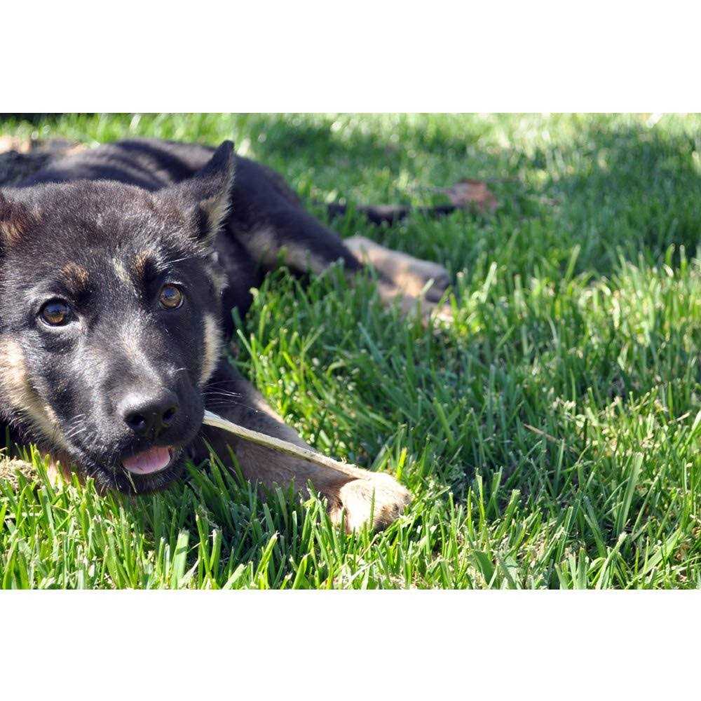 Ora-Clens Oral Hygiene Dental Dog Treats - Pet Supplies online store