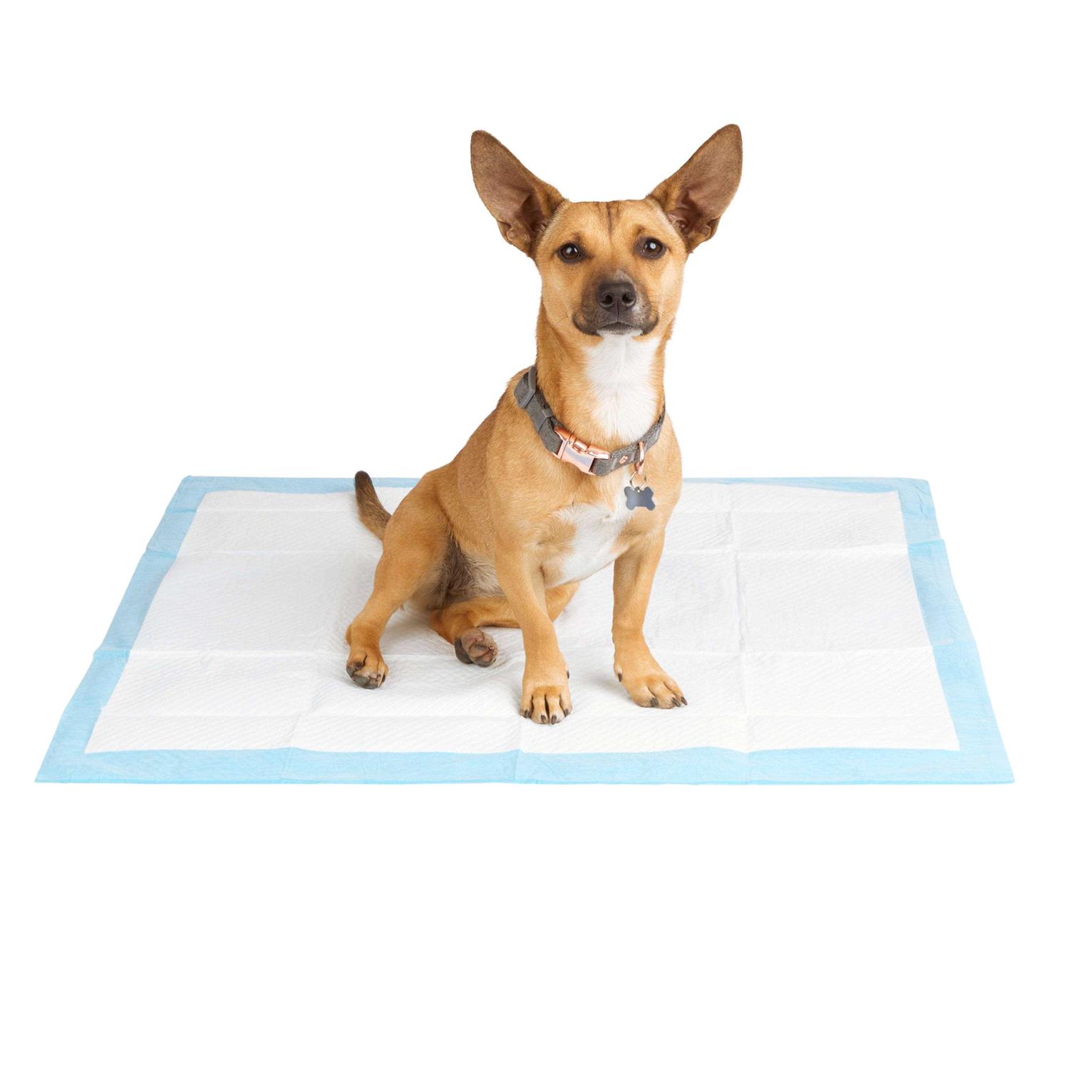 So Phresh Large Leak Guard Quilted Potty Pads - Pet Supplies online store