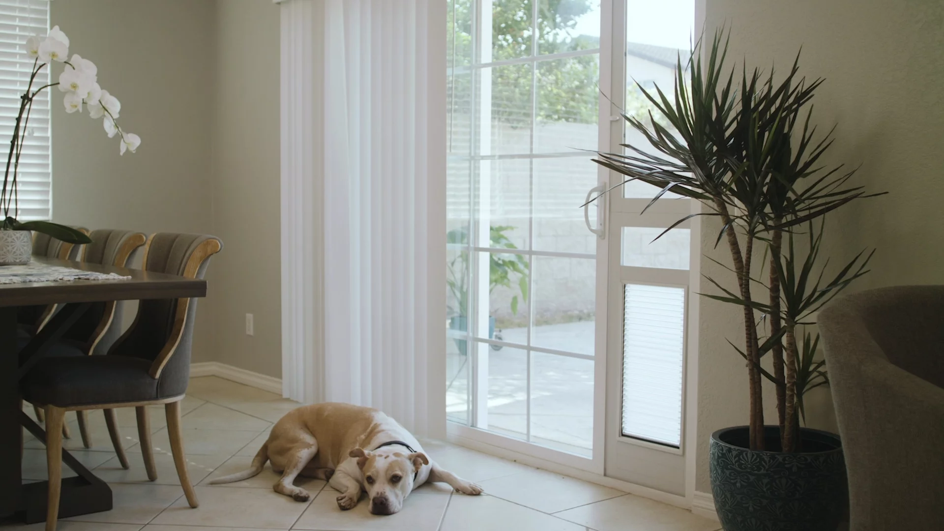 High Tech Pet Armor Flex Low-E Patio Door Regular Height - Large