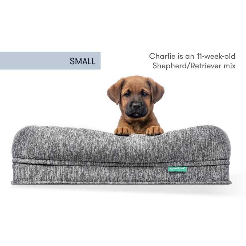 Newton Baby Newton Orthopedic Pet Bed Washable Dog Bed Dogs Puppy Bed - Pet Supplies online store