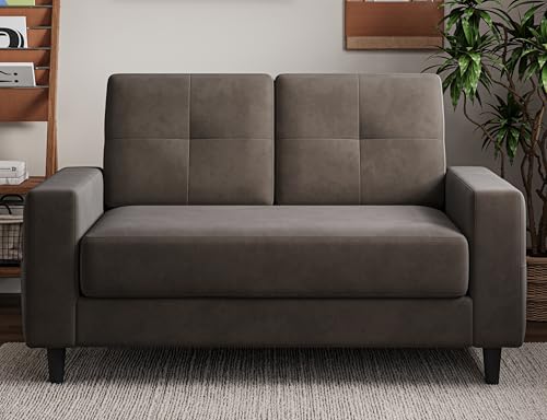 Txtin's Loveseat Sofa 53