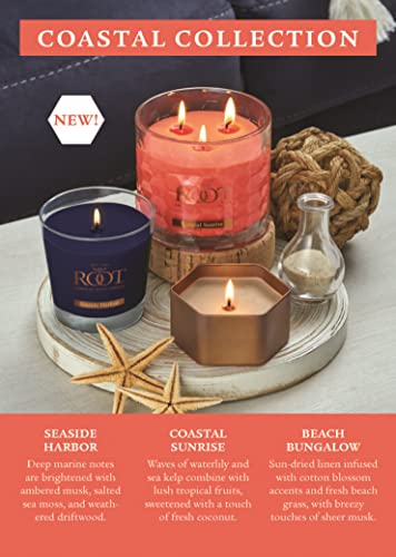 Scented Candles Honeycomb Traveler Premium Handcrafted Beeswax Blend Candle, 4-Ounce, Citron & Bergamot