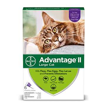 Advantage II Over 9lbs, 6 Treatment Cats Flea Treatment - Pet Supplies online store