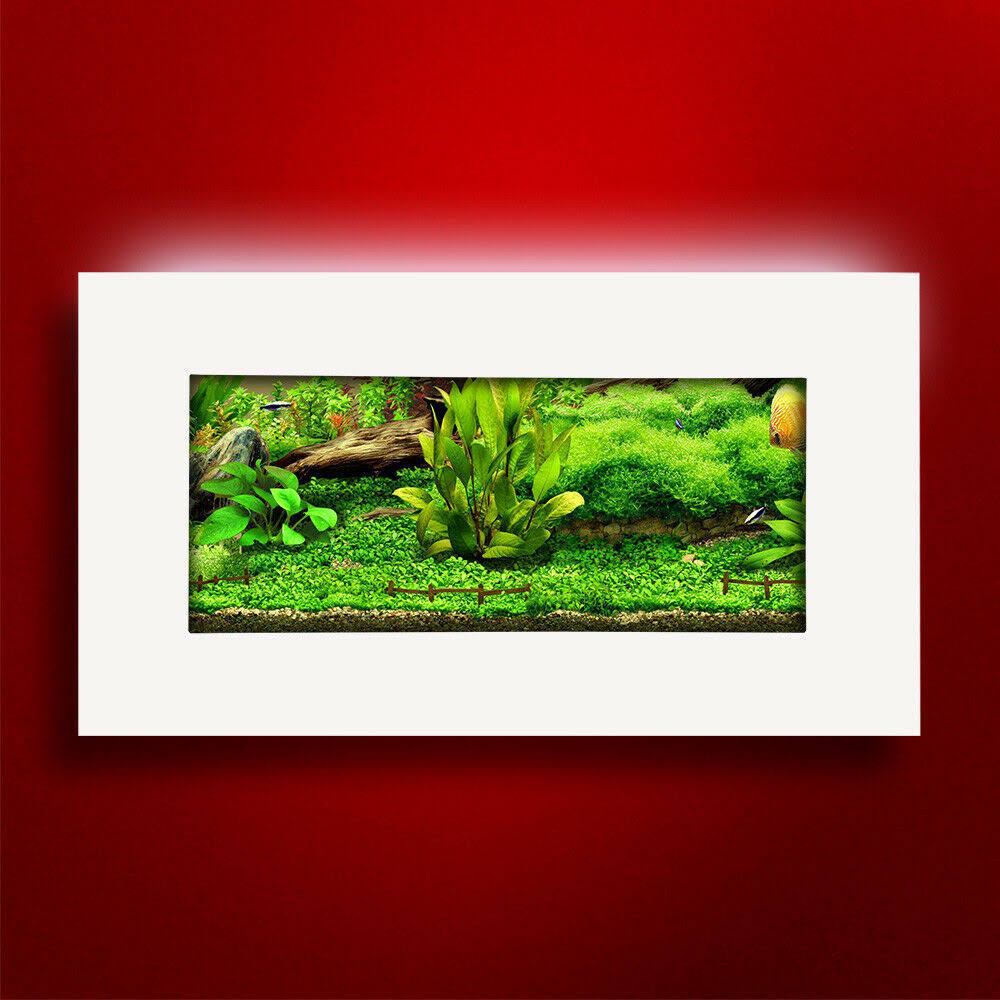 Aussie Aquariums 2.0 Wall Mounted Aquarium - View (Brushed Silver)